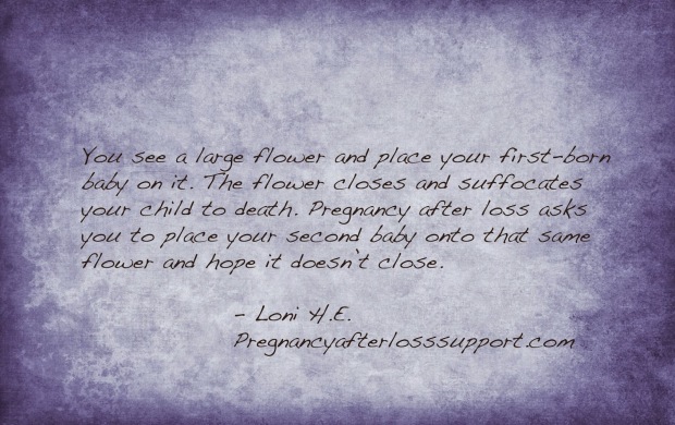pregnancy after loss quote